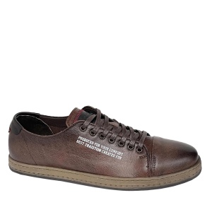ROBERTO PAVOLETTI 1-8172
