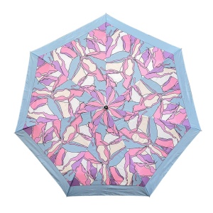 FABRETTI UFR0008-9