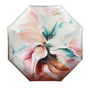 FABRETTI [105996]
