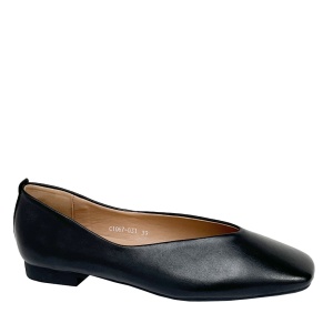 BADEN C1067-031
