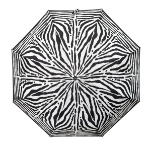 FABRETTI [110887]