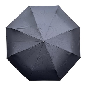 FABRETTI [102708]