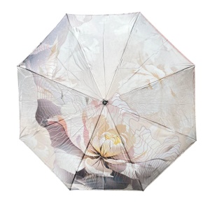 FABRETTI [110892]
