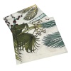 BADEN PM001-02