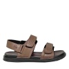 SALAMANDER 058-4424B-6109 SALAMANDER 058-4424B-6109