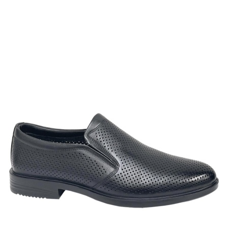 SALAMANDER 104-667A-1102 SALAMANDER 104-667A-1102