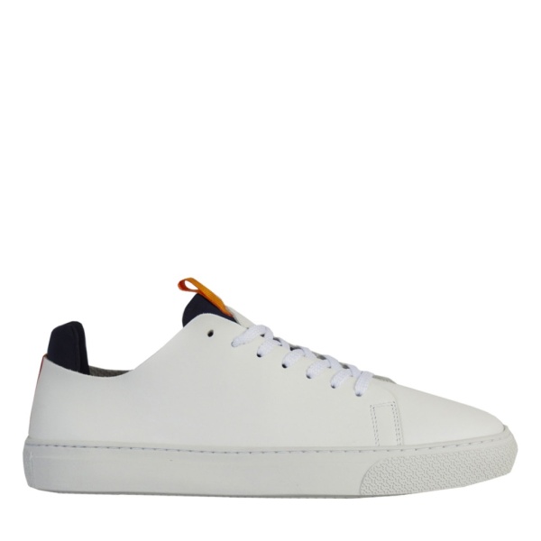 MOCCS 2395