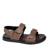 SALAMANDER 058-4424B-6109 SALAMANDER 058-4424B-6109