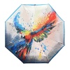 FABRETTI [105997]