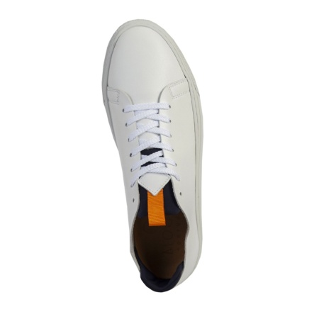 MOCCS 2395