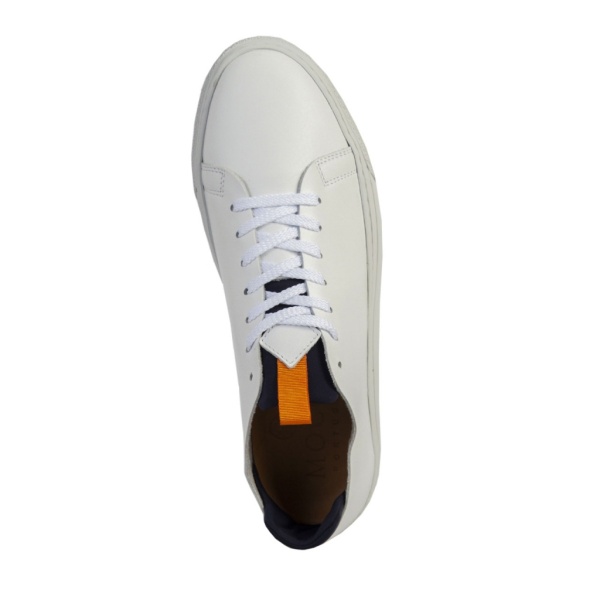 MOCCS 2395