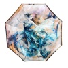 FABRETTI [108676]