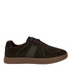 ABRICOT [113240]