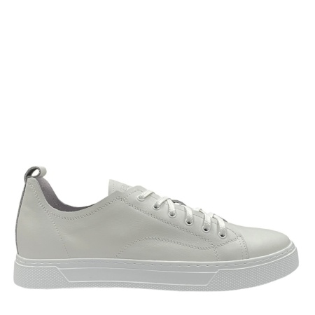BADEN WH065-010