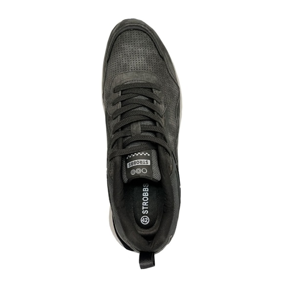 STROBBS C3381-19
