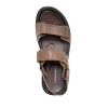 SALAMANDER 058-4424B-6109 SALAMANDER 058-4424B-6109