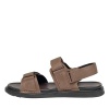 SALAMANDER 058-4424B-6109 SALAMANDER 058-4424B-6109