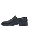 SALAMANDER 104-667A-1102 SALAMANDER 104-667A-1102