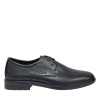 SALAMANDER 104-667B-1102 SALAMANDER 104-667B-1102