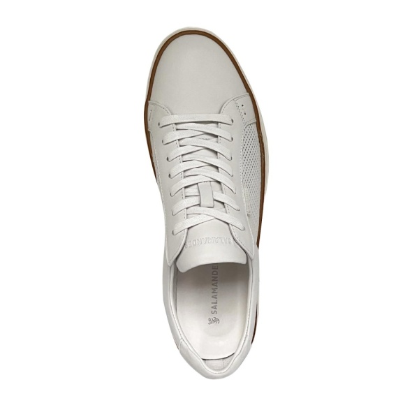 SALAMANDER 280-4653A-2101 SALAMANDER 280-4653A-2101