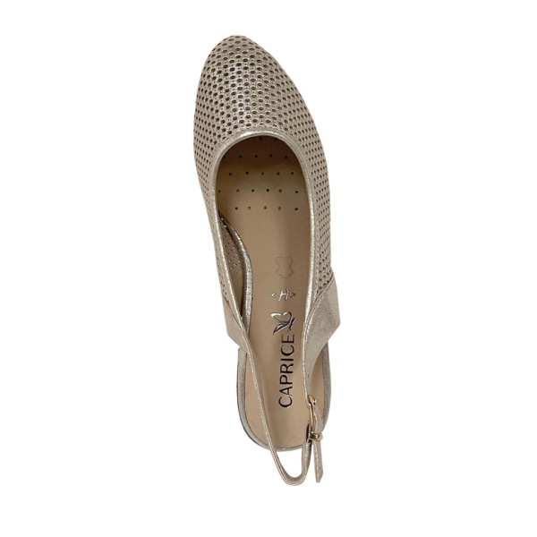 CAPRICE [109431]