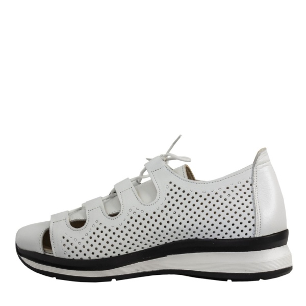 DAKKEM 355-441-01