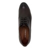 SALAMANDER 280-370A-2109