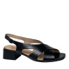 DINO RICCI [111415]