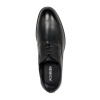 AG COLLECTION 3532-01-01-02