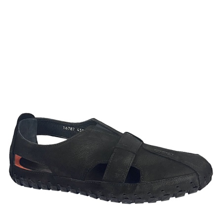 BONTY 16787-Syah Apollo BONTY 16787-Syah Apollo