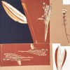 FABRETTI VFS8-13