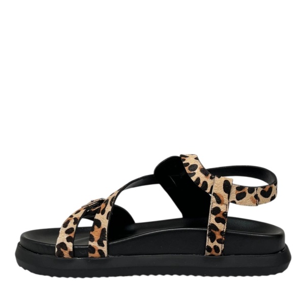 HELMAR TREND [110733]