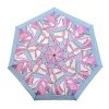 FABRETTI UFR0008-9