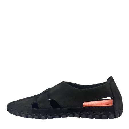 BONTY 16787-Syah Apollo BONTY 16787-Syah Apollo