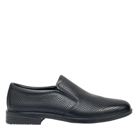 SALAMANDER 104-667A-1102 SALAMANDER 104-667A-1102