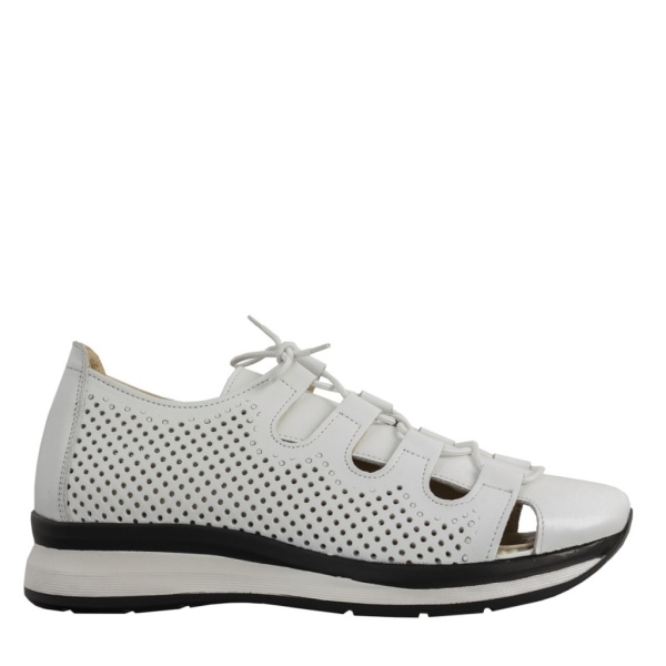 DAKKEM 355-441-01
